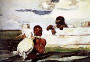 Turtles captured in Winslow Homer